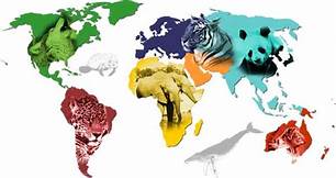 Animal Adaptations